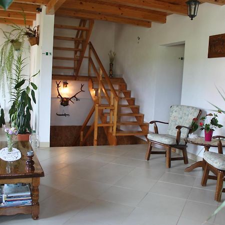 Appartamento Casa Altius Felix Băile Felix Esterno foto