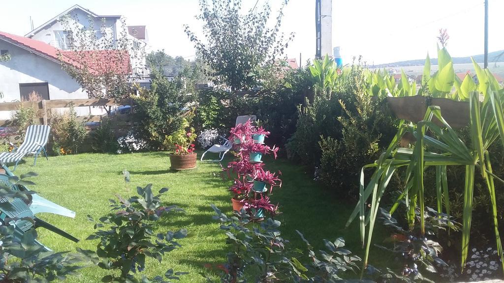 Appartamento Casa Altius Felix Băile Felix Esterno foto