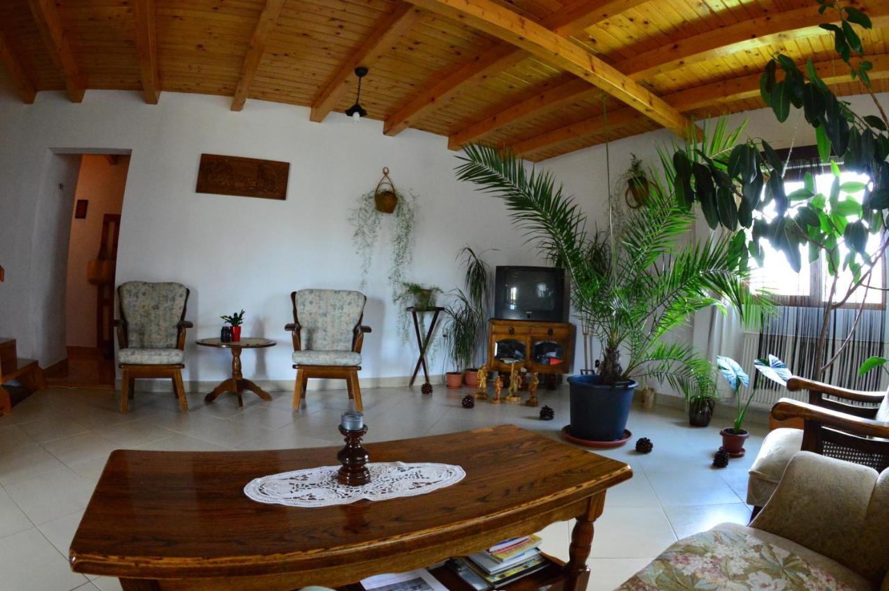 Appartamento Casa Altius Felix Băile Felix Esterno foto